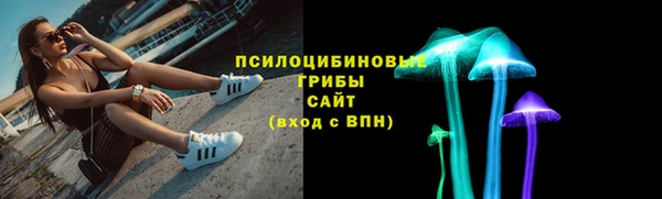 прущие крисы Алзамай