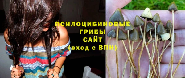 прущие крисы Алзамай
