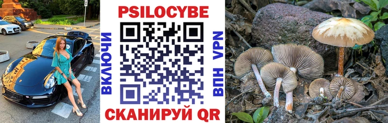 Псилоцибиновые грибы Psilocybe  закладки  Карачев 